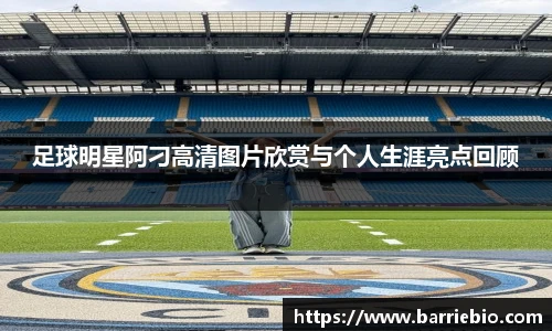 足球明星阿刁高清图片欣赏与个人生涯亮点回顾
